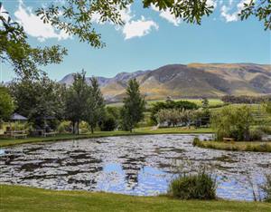 Barrydale Restaurants - The Zesty Lemon Restaurant in Stanford