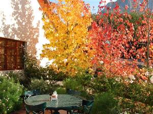 Franschhoek Restaurants - Hillcrest Berry Orchards Restaurant in Stellenbosch