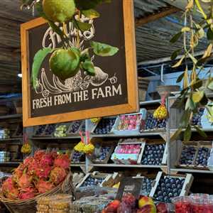 Western Cape Restaurants - Oranjezicht City Farm Market in Waterfront